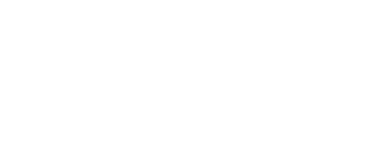 ALBANY MEDICAL CENTER Logo